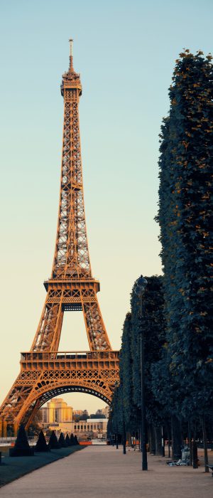 Eiffel Tower as the famous city landmark in Paris